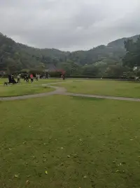 用心感受世界，用愛聆聽心靈，愿我的傾聽能讓你走出迷霧，重新認識自己，感受世界的美好，擁有更大的勇氣面對世界。輕輕的一朵白云，帶走你的煩惱和憂傷!配圖