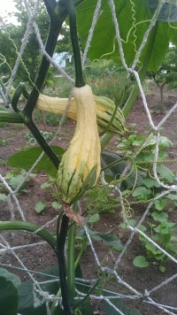 父母總想改變孩子，但最需要改變的則是父母自己，而非改變孩子。配圖