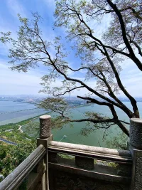 由于地區不同，海拔高度不同，緯度不同，樹木的形狀大小也不盡相同，總之樹木的生態應條件不同長相也就不同，我們人也是如此！配圖