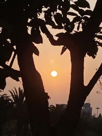 不要勉強自己發光，因為你本來就有，只是還不夠明亮配圖