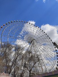 《别活在别人嘴里》



我们常常在意别人的评价，却忽略了自己内心的声音。我们总是试图满足别人的期望，却忘记了自己真正想要的是什么。这样的生活，让我们感到疲惫不堪，失去了自我。 每个人都有自己独特的价值和潜力，我们不应该被别人的看法所束缚。要相信自己的能力和选择，勇敢地追求自己的梦想。只有这样，我们才能真正地活出自己的精彩。 同时，我们也要学会坚定自己的信念。在面对困难和挑战时，不要轻易放弃，要坚持自己的原则和底线。只有这样，我们才能保持健康的心态，迎接生活的挑战。 总之，别活在别人嘴里，要自信地活出自己的精彩人生。配图