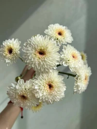 情緒是我們內(nèi)在真實(shí)的反饋。

每一個(gè)情緒的發(fā)生，都是在提醒我們：內(nèi)部有問(wèn)題、有需求要去處理，要被我們看見(jiàn)。配圖