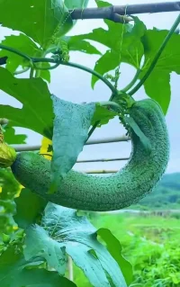 人們經(jīng)常會犯一個(gè)錯(cuò)誤，那就是把所有反饋全部看成評價(jià)。配圖