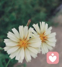 人之所以會抑郁，因為認(rèn)知受限了配圖