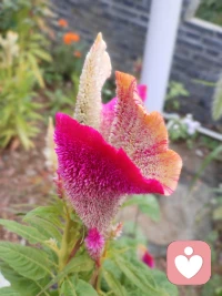 生活中，我們每個人都有必要提升自己對心理健康的認知，預防與治療同樣重要配圖