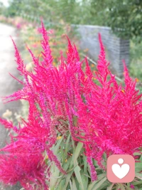 幸福與狀態(tài)無關，幸福是一種能力。配圖