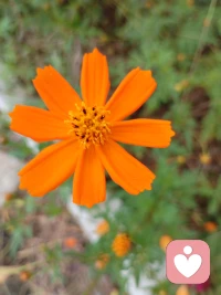 道德從來不是教導我們如何去追求幸
福，而是讓我們無愧于已經擁有的幸
福。配圖