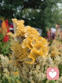 只要拿起槳開始劃，無論朝哪個方向，總會抵達一些目的地。無論朝哪個方向前行，總是要比留在原地強配圖