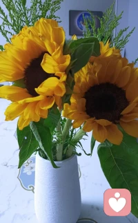 每一種?緒情?的背?可后?能都?著藏?未被滿足?需的?求。
?看見它、理?它解?，有時候?解比?決問題?重更?要，也更難得。配圖