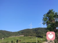 如果我们对生命的认知没有根本性的提高，心理学对我们的帮助是有限的