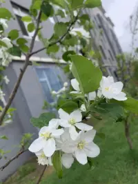 做一個像觀音菩薩一樣慈悲為懷的人
大慈大悲
“慈”帶來快樂
“悲”化解不快樂配圖