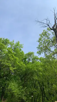 我們的有限
在于我們不能什么都控制和改變
而我們的無限
在于我們永遠都可以
走在去理解和擁抱的路上配圖