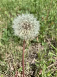 林肯曾說：“對大多數人來說，他們認定自己有多幸福，就有多幸福。”幸福與否，往往不在于婚姻本身，而在于我們看待婚姻的心態。
一，不合理的期待是婚姻的障礙。
恰當的期待是維系婚姻的潤滑劑，過高的期待則會讓雙方都痛苦不堪。法國哲學家豐特奈爾說：“幸福的最大障礙就是期待過多的幸福。”
二，婚姻一旦被嫌棄填滿，就失去了存儲幸福的空間。
所謂“情人眼里出西施”。相愛之初，我們對另一半都充滿欣賞和崇拜。可一旦步入婚姻，兩個人共同生活在狹小的空間里，所有的缺點和矛盾都會暴露出來。當初對另一半的欣賞，現在很容易變成嫌棄。當我們的內心被嫌棄持續占據時，就沒有存儲幸福的空間了。配圖