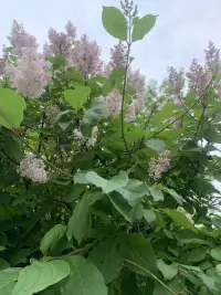 身處順境時，學會惜福與感恩
身處逆境時，學會堅忍和等待
要相信逆境只是暫時的，一切定會好起來配圖