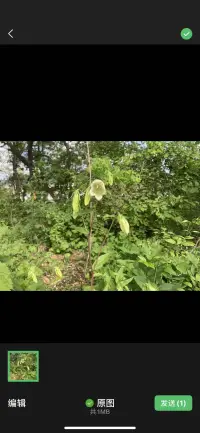 生活就是我們一整天在想的每一件事。
如果你一直懷著正面的想法，你的人生就會往正面的方向前進；如果你的想法總偏向負面思考，那你也會過消極的一生。
你過得如何、擁有什么樣的人生經(jīng)驗，只要看你平常最常想的事，便可得知。配圖