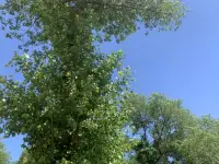 愛情里有一個道理：付出越多的人越難離開，但錯誤的付出，會讓自己的付出沒有任何價值，唯有用正確的方式付出，才能真正地獲得幸福的情感。配圖