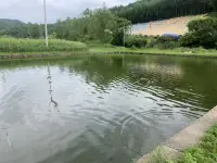 走進大自然，感受陽光、清風、綠水的療愈配圖