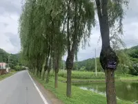 走進大自然，感受陽光、清風、綠水的療愈配圖
