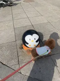 人生沒有什么定數(shù)，不折騰，時間同樣會過去，所以，去做總比不做好，開始總比放棄強。只要你心中還有希望，什么時候都是開始的最好時機。配圖