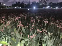 陰影和光明一樣，都是人生的財富

一個重要的心理規律是，無論多么痛苦的事情，你都是逃不掉的。你只能去勇敢地面對它、化解它、超越它，最后和它達成和解。如果你暫時缺乏力量，可以尋找幫助，尋找親友的幫助，或尋找專業的幫助，讓你信任的人陪著你一起去面對這些痛苦的事情。配圖