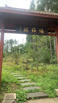 張愛玲說過，真正能治愈你的，從來都不是時間，也不是新歡而是明白。無論誰離開了你，別忘了在他來之前，你本來就是一個人生活。放不下，舍不得，都是不甘心，錯的人即使遇見了還是會分開，對的人分開了還是會重逢。配圖