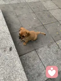 ??喜歡與愛

喜歡是想靠近，愛是離不開；
喜歡是一朝一夕，愛是從心動到古??；
喜歡是渴望分享快樂，愛是甘愿共同承受痛苦；
喜歡是喜歡你的閃光點(diǎn)，愛是愿意包容你的不足；
喜歡是以他/她喜歡的方式對你好，愛卻是以你喜歡的方式對你好；
喜歡有時(shí)是一種情緒，而愛是一種親密關(guān)系。

我需要你，因?yàn)槲覑勰?；我被人愛，因?yàn)槲覑廴恕Ｅ鋱D