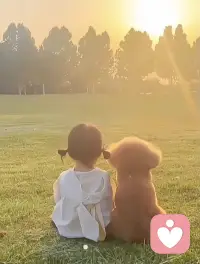 找找看，你是怎樣的孩子？
在批評中長大的孩子，他學會了責難；
在敵意中長大的孩子，他學會了爭斗；
在虐待中長大的孩子，他學會了傷害別人；
在支配中長大的孩子，他學會了依賴；
在干涉中長大的孩子，他被動和膽怯；
在嬌寵中長大的孩子，他學會了任性；
在否決中長大的孩子，他反對社會；
在忽視中長大的孩子，他情緒孤僻；
在專制中長大的孩子，他喜歡反抗；
在淫亂中長大的孩子，他會心理變態(tài)；
在民主中長大的孩子，他領導力強；
在鼓勵中長大的孩子，他學會了自信；
在公平中長大的孩子，他學會了耐心；
在贊賞中長大的孩子，他學會了喜歡自己；
在愛之中長大的孩子，他會愛人如己。配圖