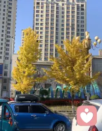 我們因為他人而感到痛苦時，馬上就能意識到他是阻礙我們幸福的人。
然而，很多情況下，我們很難意識到阻礙自己幸福的正是我們自己，而非他人。配圖