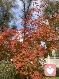 ??真正的強大不是對抗,而是允許發(fā)生，允許遺憾，愚蠢，丑惡，虛偽，允許付出沒有回報。

??是的，人生漫漫，總會遇到那些讓自己煩惱的事。

??那就修煉自己，不讓自己陷入悲觀的情緒里。
無論遇到任何事，堅定地選擇自己！配圖