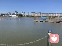 心慈則貌美，心善則面善
你的心態，其實就是你最好的風水
你的人品，就是你最好的運氣
人的磁場真的很重要
多和善良的人前行
讓自己的內心時刻充滿陽光
多和正能量的人去交往
讓自己變得更加堅強
多和勤奮的人攜手
讓自己變得更加自律
多和真誠的人在一起
讓自己的世界再沒有欺騙
永遠都要記住
多和善良且優秀的人為伍
你的人生之路將越走越寬配圖