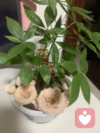 人生就該是一個不斷做減法、從一到零的過程，只因個人小小的身軀根本無法承載太多的欲望與夢想。面對花花世界，不要去想自己還能擁有什么。多想想我們最想要的是什么，當(dāng)下最需要的是什么，什么對我們的人生百害而無一利，什么可以不必?fù)碛?。配圖