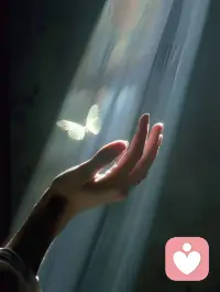 沒有人規定一朵花
一定要長成向日葵或者玫瑰，
我是說你僅是你，萬人非你。配圖