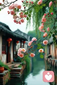 時(shí)光因懂得而美好，
生活因知足而溫暖，
周末愉快配圖