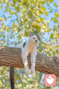 很喜歡一個詞叫不破不立，有些東西必須摧毀才能迎來新生，不管是消耗你的人，還是讓你恐懼和焦慮的事情，又或者是過去懶惰脆弱的你，都必須讓他們“死掉”你才能打破怪圈重獲新生。配圖