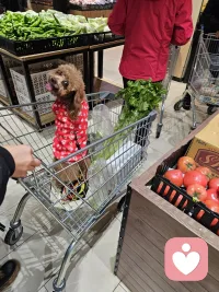 很多时候我们会觉得疲惫或者愤怒，
难以控制自己的情绪，
甚至无法完成简单的工作。
也许一些心理的空洞来自过往的负面经历，
如果能够时光倒流，
回到伤害未发生的时候，
以现在作为成年人所拥有的清醒的认知和内心的勇气，
我们也许可以改变当时所发生的一切。
也许可以勇敢地反抗，
也许可以更明确地说出自己的感受。
可惜的是，
时光无法倒流。
但我们还是可以为自己做很多。
我们可以向外界寻求帮助，
可以勇敢表达自己，
更可以理解和爱自己。
自己对自己的信任，
足以让我们拥有勇气去应对来自过去和未来的挑战。配图