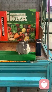 清醒知趣，保持自信。
一切尽意，万事从欢。
喜欢现在所有的状态，
也越来越喜欢现在的自己。配图