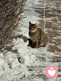 一段感情很纠结，分手要怎么说出口呢？
分手三步法，教你好好跟对方说再见！

第一步，你先认真想想是否真的决定分手。你可以问自己几个问题：现在是不是在气头上，是否带着情绪在思考问题？两个人之间的问题，是能解决的还是真的解决不了？现在双方的关系还能不能带给彼此愉悦和成长？分手后会不会更痛苦，还是会过得更好一点？
当你真实地回答这几个问题之后，相信你就可以做出决定了。如果决定了分手就千万别逃避，也不要试图等对方说分手，更不要把责任推给对方。
第二步，提出分手的过程中态度要友善，立场要坚定。找一个两个人情绪都比较平稳，一段不会被琐事干扰的时间，坐下来面对面好好地交流。你作为分手方，要坦诚说出分手的理由。这时候不要指责和攻击她，也不要太情绪化，说清楚两个人不合适的原因就好。如果对方的反应变得比较情绪化，甚至很激动，这时候你的态度一定要坚定。你可以表示理解她的情绪，但是一定要坚定你的立场，无论如何都不会改变决定。
第三步，分手之后，一定要划清界限。有些事可以做，有些事就不能再做了。比如刚分手时，她可能情绪十分低落，甚至会做出一些极端行为，这时候念旧情而伸出援手，表达理解和歉意都没有问题，但一定要停止做一些只有情侣才可以做的事，比如每天微信里问候早安晚安，两个人一起看电影，或者发生一些亲密接触，等等。
分手一定要分得彻底一些，这样两个人才能尽快从这段关系里走出来，慢慢开始新的生活！配图