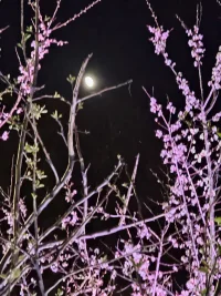 真正的幸福之源就是我们自身，
如果一个人懂得如何感受幸福，
那么旁人便无法真正使之陷入悲惨境地。配图