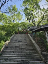 我们的负面情绪和我们的正面情绪一样，都是需要我们照顾的情绪，都是我们人生的一部分。
❤️
我们有时候会讨厌自己的负面情绪，如果我们能照顾自己的负面情绪，像照顾一个孩子一样，这个负面情绪就会越来越懂事，会与自己和平相处。
❤️
当我们生气时，我们要觉察它，关照它。说，我又生气了。配图