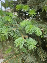 ??????

過自己想要的生活

并不是自私

要求別人按自己的意愿生活才是配圖