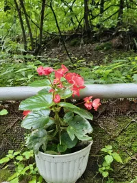 这个世界有很多种生活
命运将你推向任何一种，都别怨天尤人
它并没有剥夺你幸福的权利
在任何一种生活里，我们都能找到属于自己的幸福❤️❤️❤️