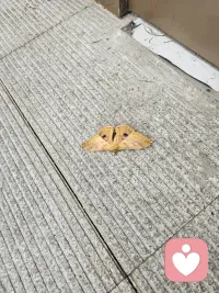 成長就是一個不斷學會舍棄的過程
你不能什么都要
也不可能什么都留
有些東西丟了不可惜
有些關系散了更輕松
別怕遺憾
它只是讓你更清醒
真正屬于你的，永遠不會錯過
????????????配圖