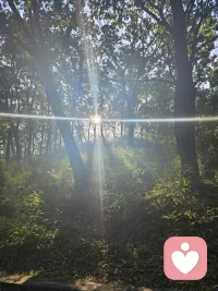 情緒價值是最好的保健品，內(nèi)耗則是最狠的慢性毒藥…

真正會養(yǎng)生的人，早就學會了扔掉包袱。

遠離那些讓你耗盡電量的人，不是冷漠，是在給生命充電；

不被爛人爛事牽著鼻子走，才是對自己最大的心疼。

畢竟，把自己放在首位，才是對抗疾病最硬氣的底牌。
??????????????????配圖