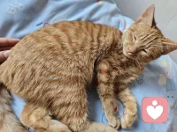 ??????世界上最大的監獄是人的大腦，走不出自己的觀念，到哪里都是囚徒。配圖