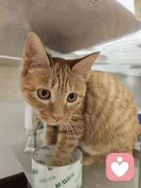 ❤️❤️❤️
过的积极是为了生活，
过的糊涂是为了快乐。
走自己的路，不慌不忙，
修自己的心，默默发光。
与万事言和，自行、自醒、自清欢。