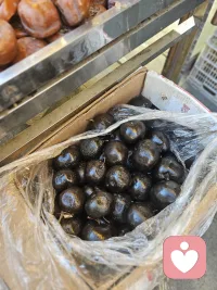 ??????任何時(shí)候我們都有選擇的權(quán)利，你現(xiàn)在的人生是過去選擇的結(jié)果，未來的人生，是我們現(xiàn)在選擇的結(jié)果，我們自己是一切的根源，是開心還是難過，由自己做選擇。