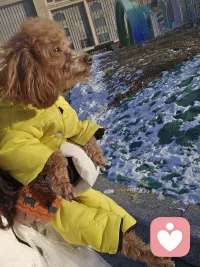 ??????情緒不好的時(shí)候問問自己，是不是又在強(qiáng)求不屬于自己的東西了…