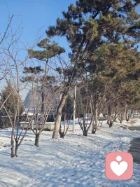 ❤️❤️❤️
冬至快乐
疲惫时，你不是没电了，你只是需要切换另一种“充电模式”——听听你的心此刻需要什么。配图