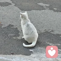 我无权论断他人的生活！唯独对自己的生活必须做出判断。配图