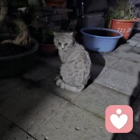 ❤️❤️❤️
人这一生，不必苛责遇见的任何人，不必纠结世事的不如意。他人的言行，是他人的选择与际遇；自己的心态、格局与善良，才是一生真正的修行。